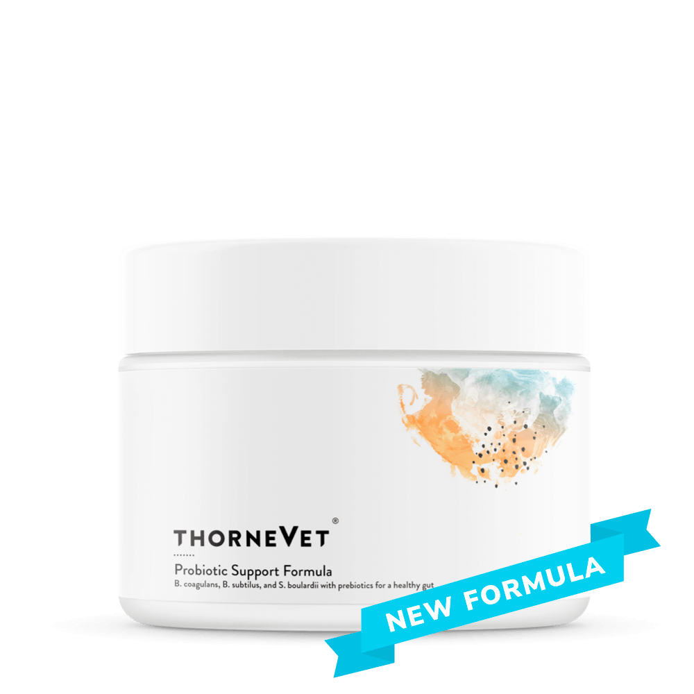 Probiotic Support Formula (formerly Bacillus CoagulansVET) Soft Chews